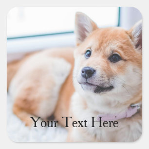 Niedlicher Hund Personalisiertes Foto und Text Quadratischer Aufkleber