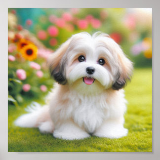 niedlicher Hund Poster