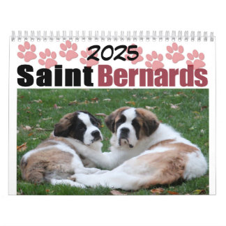 Niedlicher Hund Rasse Saint Bernard Welpenkalender Kalender