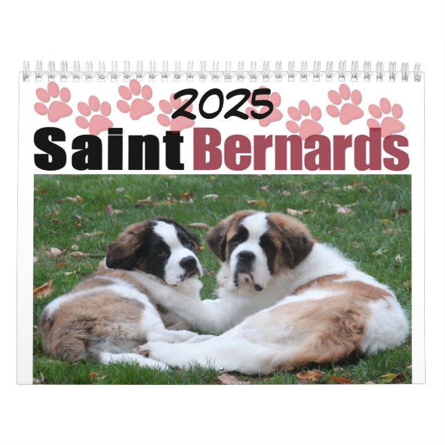 Niedlicher Hund Rasse Saint Bernard Welppy Kalender (Titelbild)