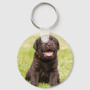 Niedlicher Hund Schlüsselanhänger