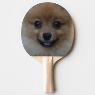 Niedlicher Hund, Tischtennis Schläger