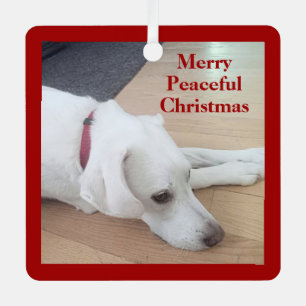 Niedlicher Hund trägt Red Collar Star Weihnachtsfr Ornament Aus Metall