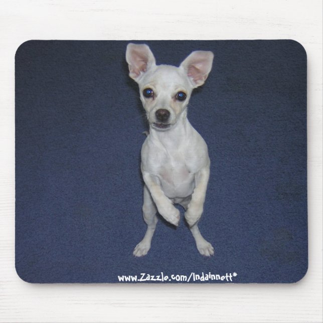 Niedlicher Hund Up-Mousepad. Mousepad (Vorne)