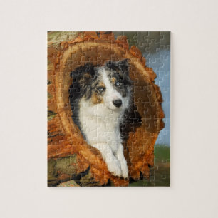 niedlicher Hund von Border Collie Puzzle
