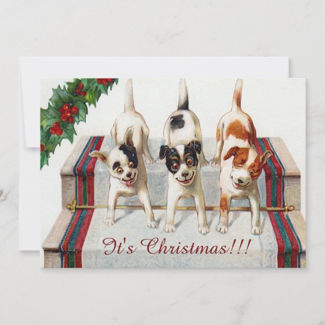 Niedlicher Hund Weihnachten Party Einladung (Vorderseite)