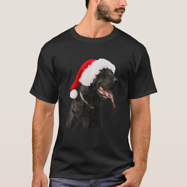 Niedlicher Hund Weihnachtsmannmütze Weihnachten La T-Shirt (Vorderseite)