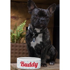 Niedlicher Hund Welpenkatze Kätzchen Hausname Blue Napf