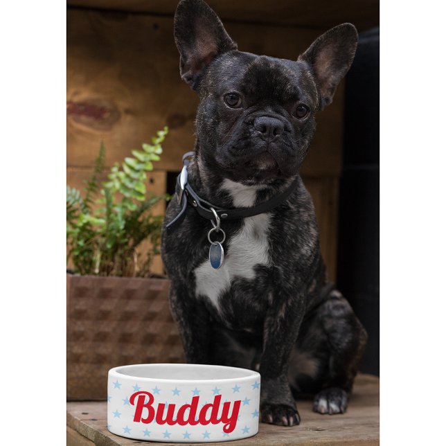 Niedlicher Hund Welpenkatze Kätzchen Hausname Blue Napf (Cute Dog Puppy Cat Kitty Pet Name Blue Stars Food Bowl)