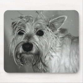 Niedlicher Hund - Westie (Westhochland-Terrier) Mousepad