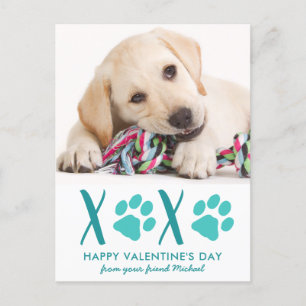 Niedlicher Hunde Foto XOXO Valentinstag Karte
