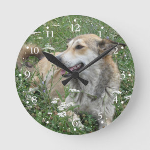Niedlicher Hundegrünes Gras Clockface 1 Runde Wanduhr