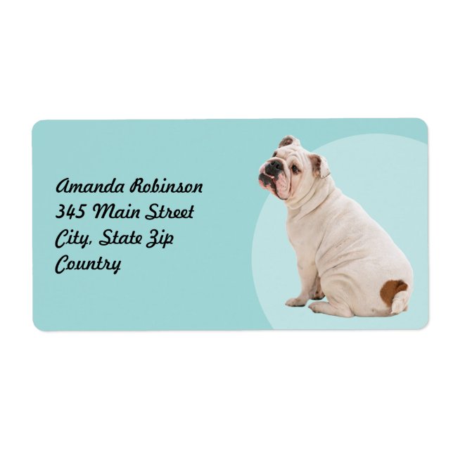 Niedlicher Hundehund (Vorne)