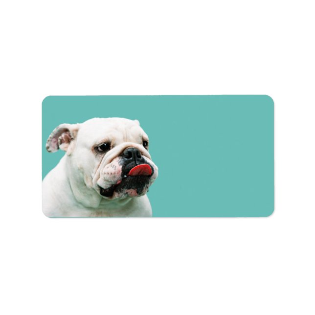 Niedlicher Hundehund Adressaufkleber (Vorne)