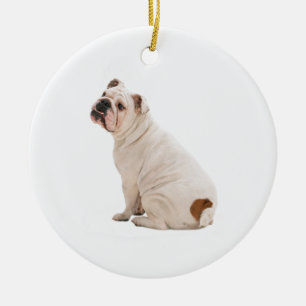 Niedlicher Hundehund Keramik Ornament