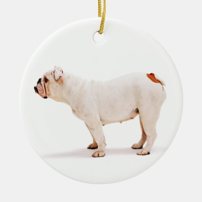 Niedlicher Hundehund Keramikornament (Vorne)
