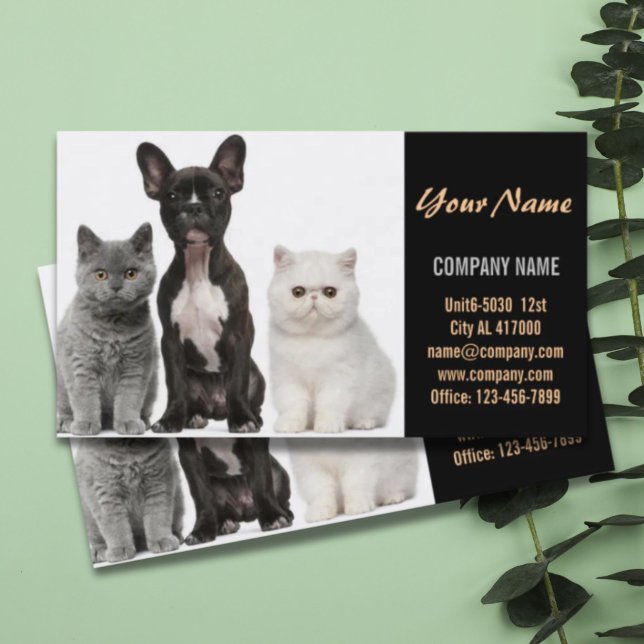 Niedlicher Hundekatzen-Sitzer Haustierzüchter Visitenkarte (Cute dog cat pet sitter animal sitter pet groomer business card)