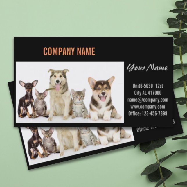 Niedlicher Hundekatzen-Sitzer Haustierzüchter Visitenkarte (Cute dog cat pet sitter animal sitter pet groomer business card)