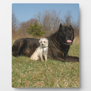 Niedlicher Hundekuh Fotoplatte