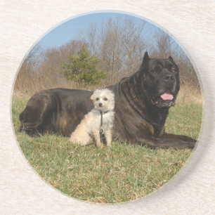 Niedlicher Hundekuh Untersetzer