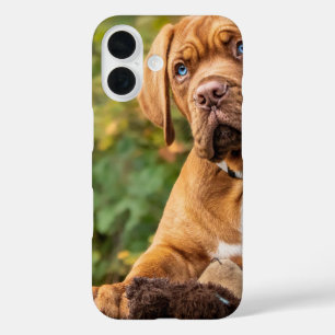 Niedlicher Hundelefon-Fall iPhone 16 Hülle