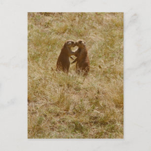 Niedlicher Hundeposter Postkarte