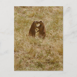 Niedlicher Hundeposter Postkarte