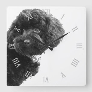 © niedlicher Hundewelpe Schwarzweiss--/Fotografie Quadratische Wanduhr