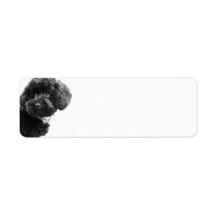 Niedlicher Hundewelpe Schwarzweiss-L Fotografie