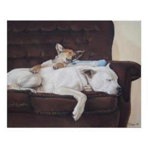 niedlicher Hündling, kuschelig Poster