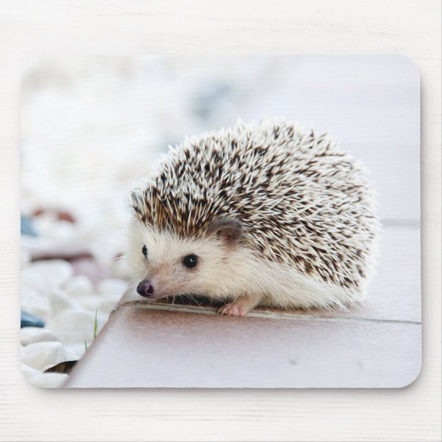 Niedlicher Igel Baby Mousepad (Vorne)
