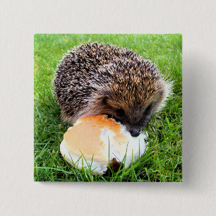 NIEDLICHER IGEL BUTTON