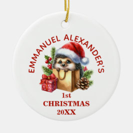 Niedlicher Igel Erster Weihnachten Personalisiert Keramik Ornament