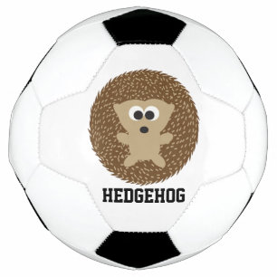 Niedlicher Igel Fußball