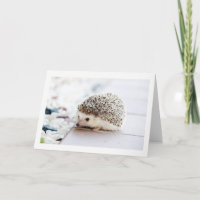 Niedlicher Igel-Grußkarte