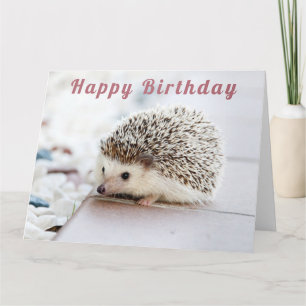 Niedlicher Igel - Happy Birthday Karte