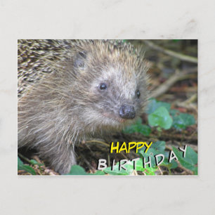 Niedlicher Igel Happy Birthday Postcard Postkarte