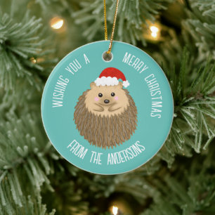 Niedlicher Igel Keramik Ornament