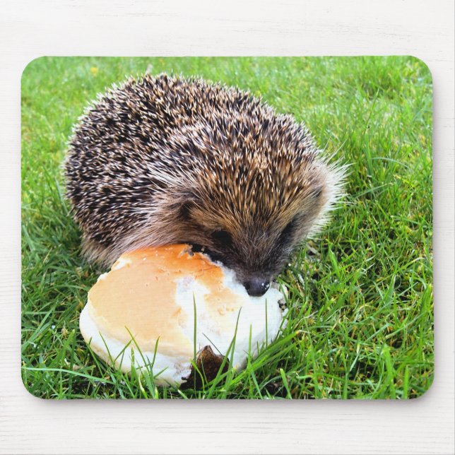 NIEDLICHER IGEL MOUSEPAD (Vorne)