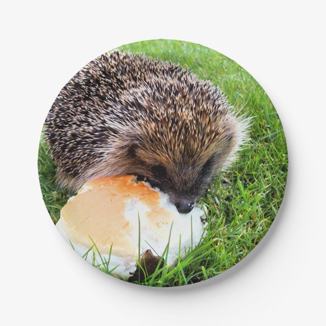 NIEDLICHER IGEL PAPPTELLER (Vorderseite)
