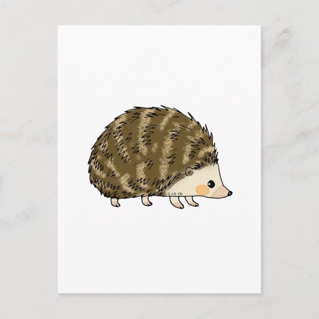 Niedlicher Igel Postkarte (Vorderseite)