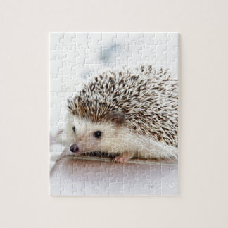 Niedlicher Igel Puzzle