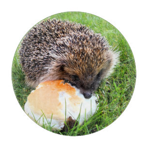 NIEDLICHER IGEL SCHNEIDEBRETT