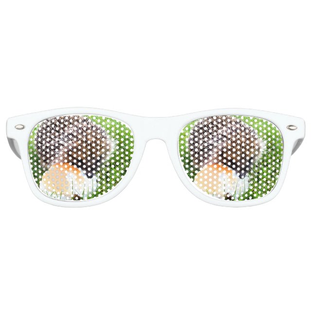 NIEDLICHER IGEL SONNENBRILLE (Vorderseite)