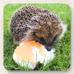 NIEDLICHER IGEL UNTERSETZER