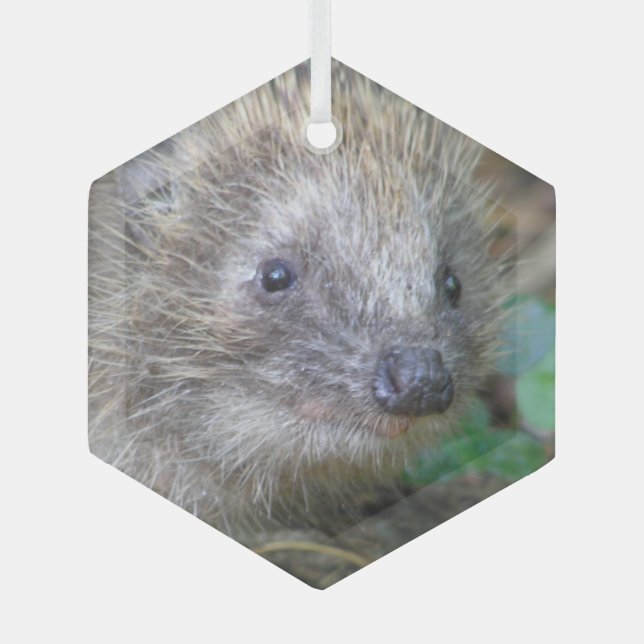 Niedlicher Igel Weihnachtsglas-Ornament Ornament Aus Glas (Vorderseite)