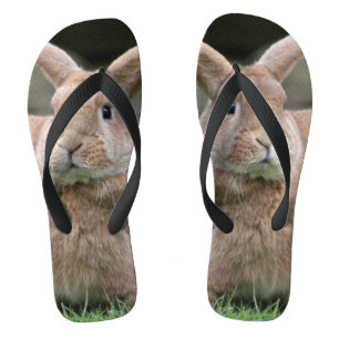 Niedlicher Ingwer mit großen Ohren Flip Flops