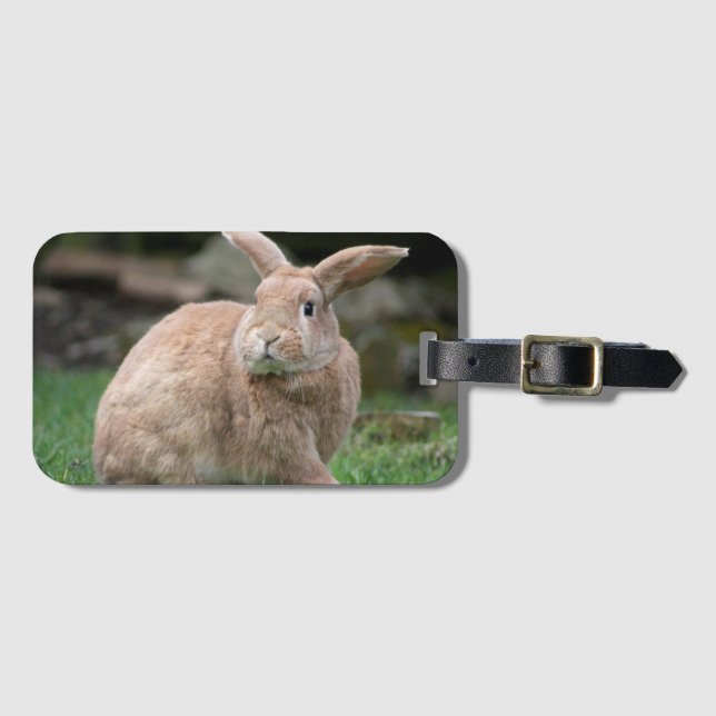 Niedlicher Ingwer mit großen Ohren Gepäckanhänger (Vorderseite (Horizontal))