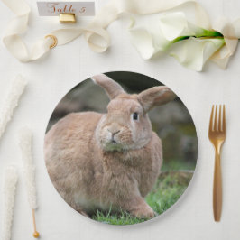 Niedlicher Ingwer mit großen Ohren Pappteller