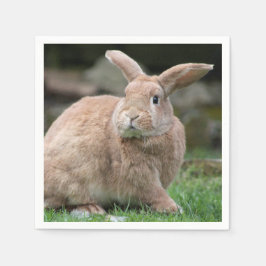 Niedlicher Ingwer mit großen Ohren Serviette